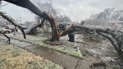 CNNE 1340290 - arboles derrumbados y ramas rotas tras tormenta de hielo en texas