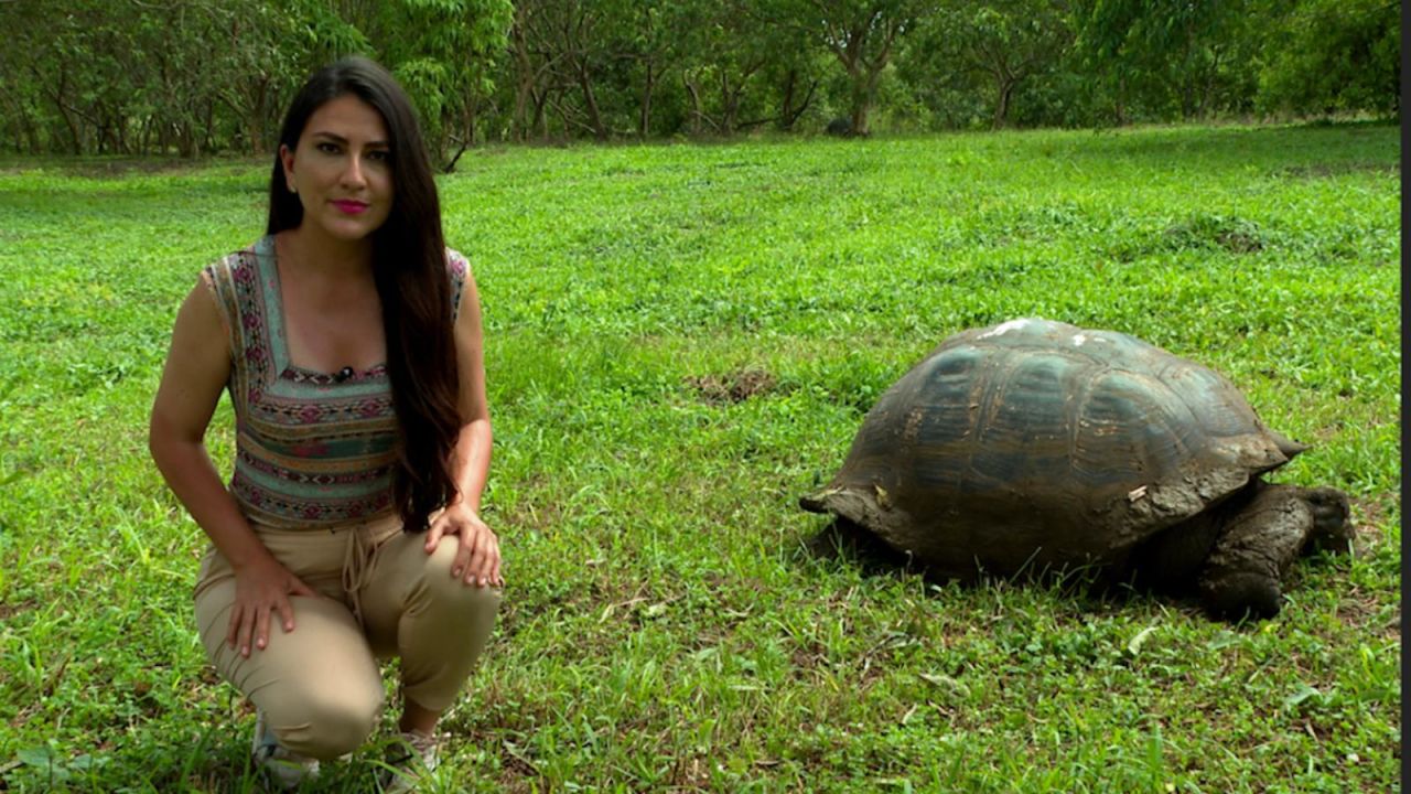 CNNE 1340980 - documental de cnn en espanol sobre galapagos recibe premio en ecuador