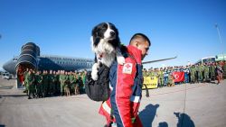 CNNE 1343444 - asi fue la llegada de los perros de rescate mexicanos a turquia