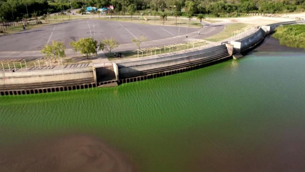 CNNE 1343460 - ¿por que el rio de la plata esta verde?