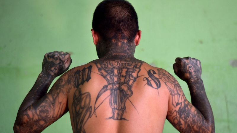 Gobierno de ee. Uu. Ofrece us$ 5 millones por información sobre un líder de ms-13 | cnn