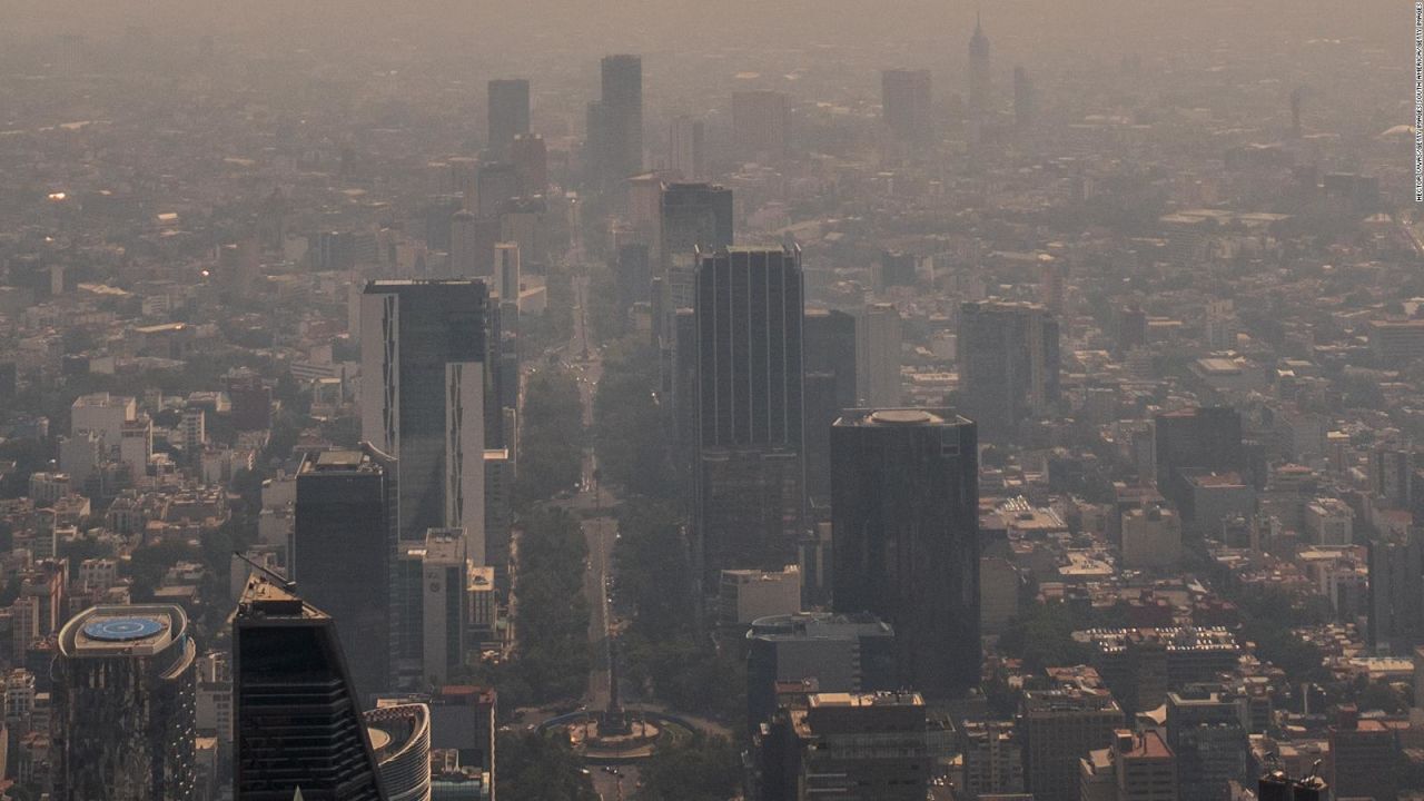 CNNE 1348123 - alergias en ciudad de mexico, ¿por que son tan frecuentes?