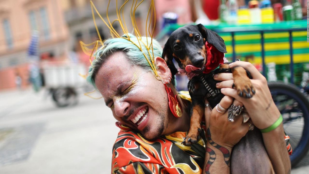 CNNE 1348455 - perros lucen disfraces en el carnaval canino de rio