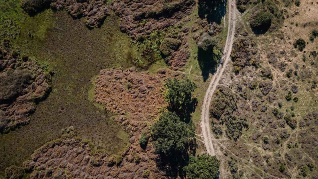 Vista aérea de las marismas secas del Parque Nacional de Doñana en Huelva, España, el 25 de enero. Crédito: Adri Salido/Anadolu Agency/Getty Images