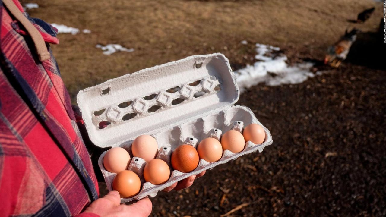 CNNE 1352817 - altos precios de huevos en ee-uu- y el riesgo de criar gallinas en casa