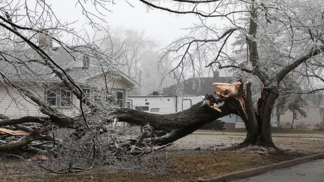 Ramas de árboles cubiertas de hielo yacen en el suelo el jueves después de una tormenta de hielo en Ypsilanti, Michigan.