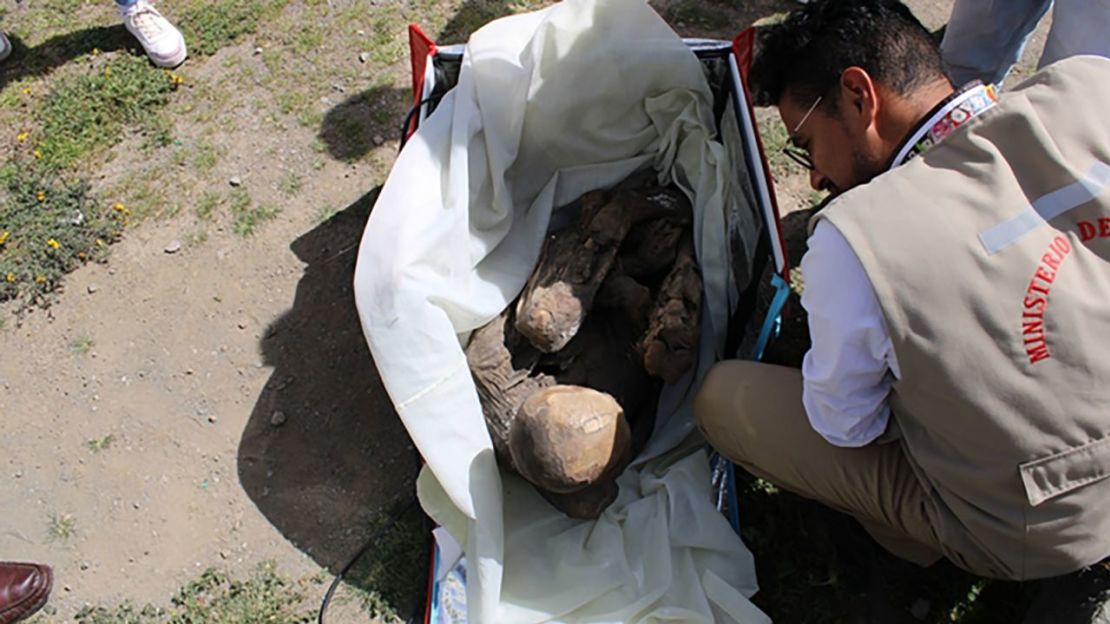 Las imágenes del hallazgo muestran a la monia en posición fetal dentro de la bolsa de reparto de Pedidos Ya.