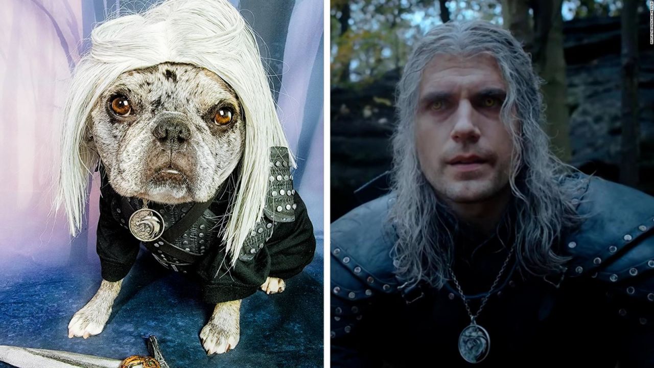 CNNE 1356950 - rory, la bulldog frances que esta obsesionada con henry cavill