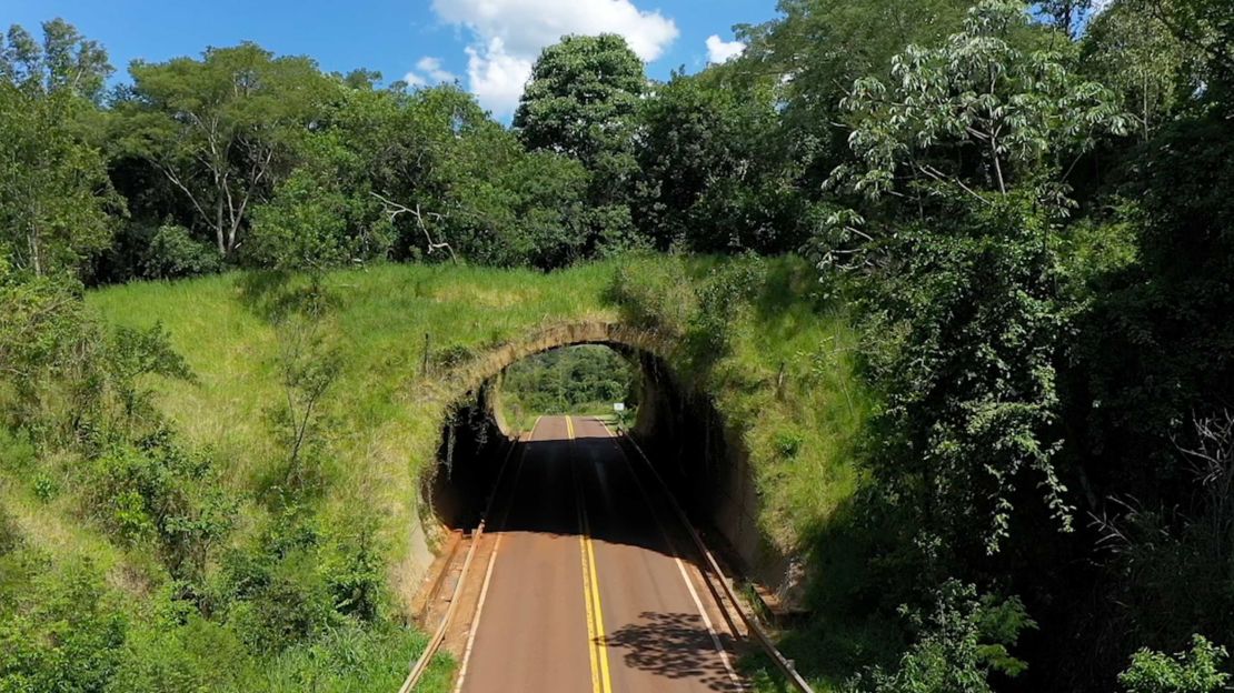 Este ecoducto construido a pocos km de la ciudad de Iguazú es un paso para la vida silvestre emblemático de la zona.