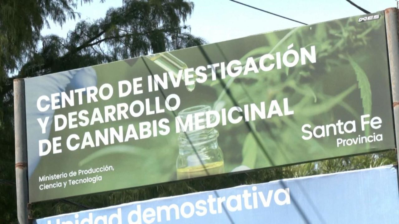 CNNE 1358993 - argentina busca legalizar la comercializacion de la marihuana