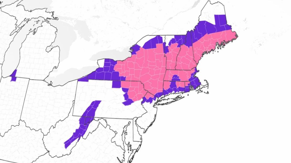 Un mapa que muestra las alertas de clima invernal emitidas en todo el noreste este martes temprano, donde el púrpura indica avisos de clima invernal y el rosa representa advertencias de tormentas invernales.