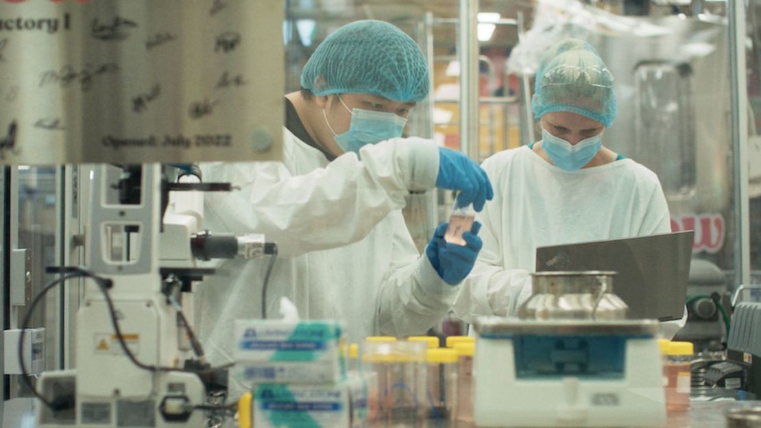 El ADN de mamut se insertó en células de oveja, que luego se cultivaron en un laboratorio.