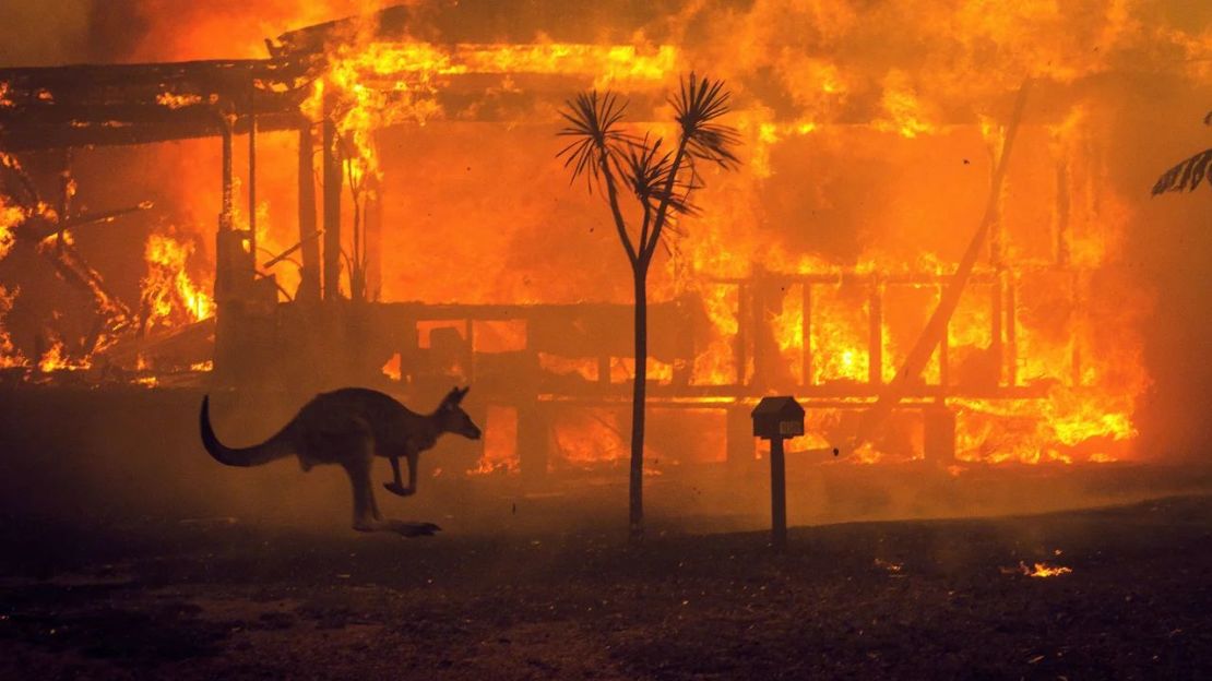 Un canguro salta junto a una casa en llamas en el lago Conjola, Australia, en diciembre de 2019. Los incendios forestales de esa temporada fueron de los peores que el país había registrado jamás, con casi 3.000 millones de animales muertos o desplazados. Crédito: Matthew Abbott/The New York Times