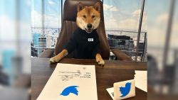 CNNE 1370797 - elon musk reemplaza el tradicional icono de twitter por un shiba inu