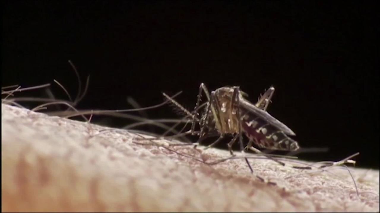 CNNE 1372732 - ¿como evitar contagiarse de dengue?