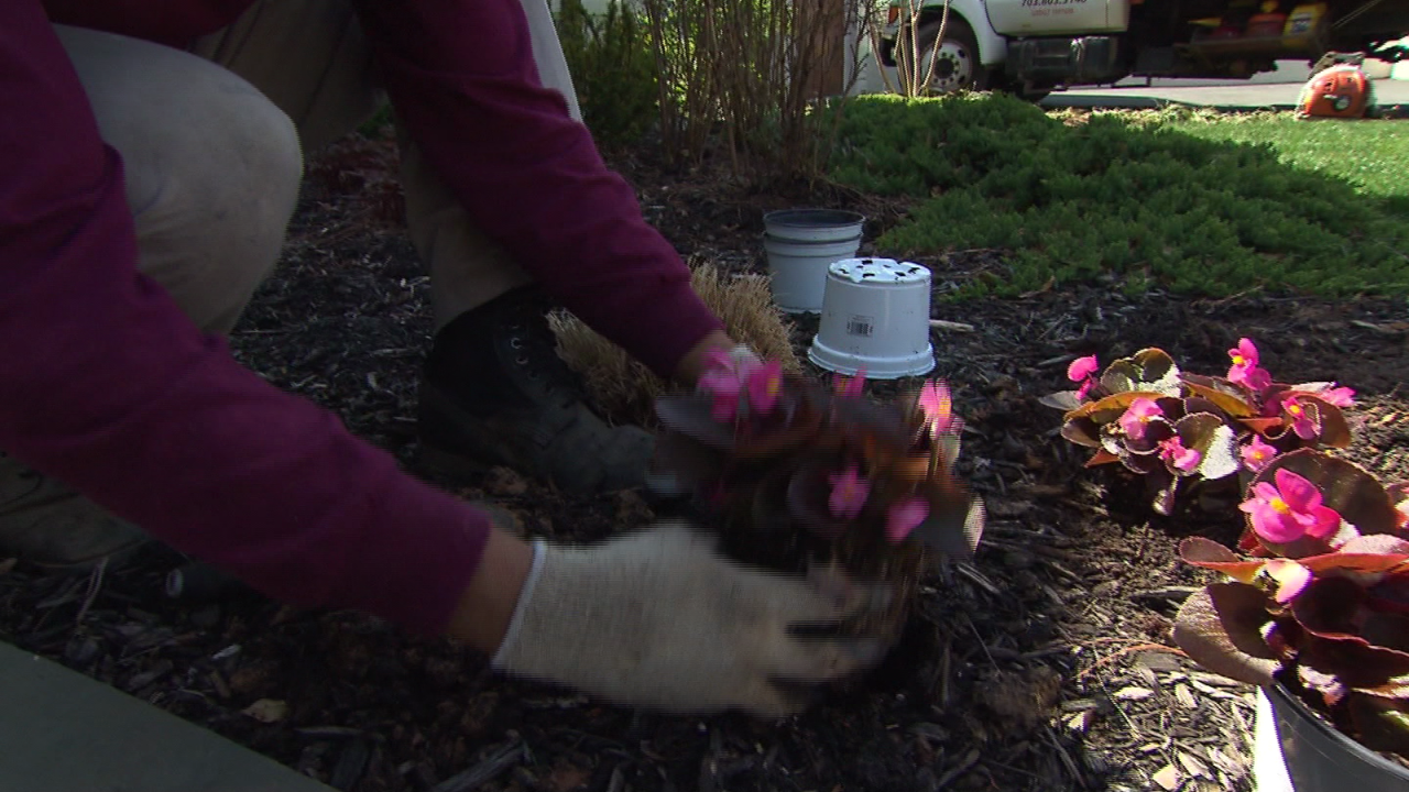 CNNE 1372929 - aumenta la gente que cuida su propio jardin, pero olvidan su espalda