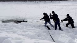 CNNE 1375491 - mira el rescate de un alce atrapado en el hielo