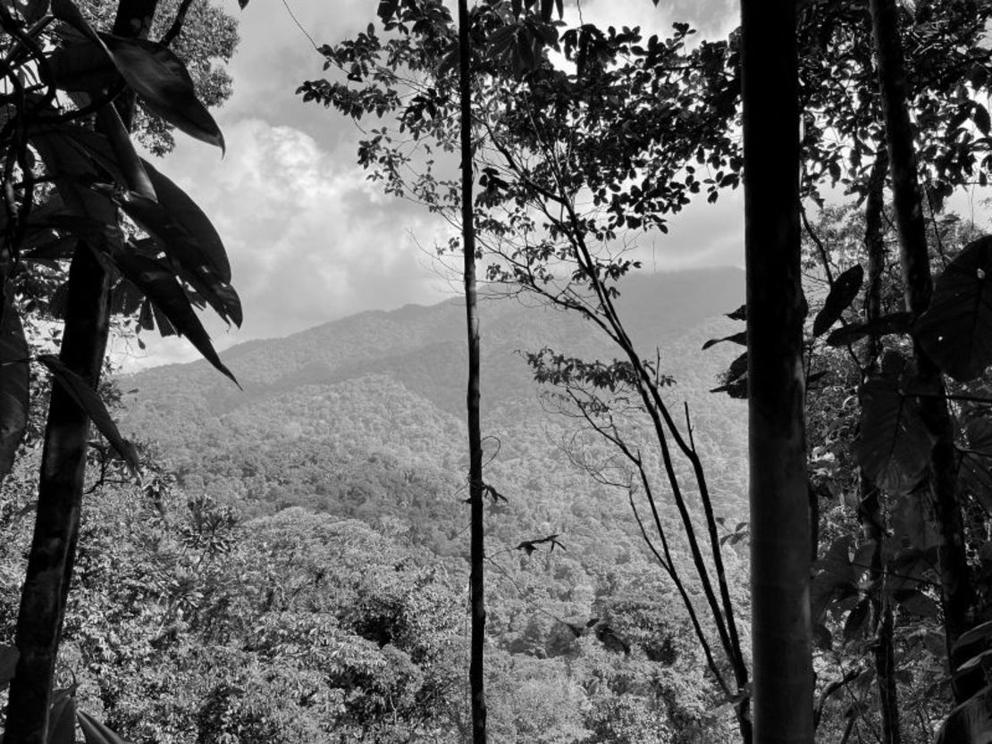 La accidentada y montañosa selva tropical del Darién hizo insostenible la construcción de la Carretera Panamericana, dejando un "trapón" en la carretera entre Sudamérica y Centroamérica, de ahí el nombre de la ruta. Natalie Gallón/CNN