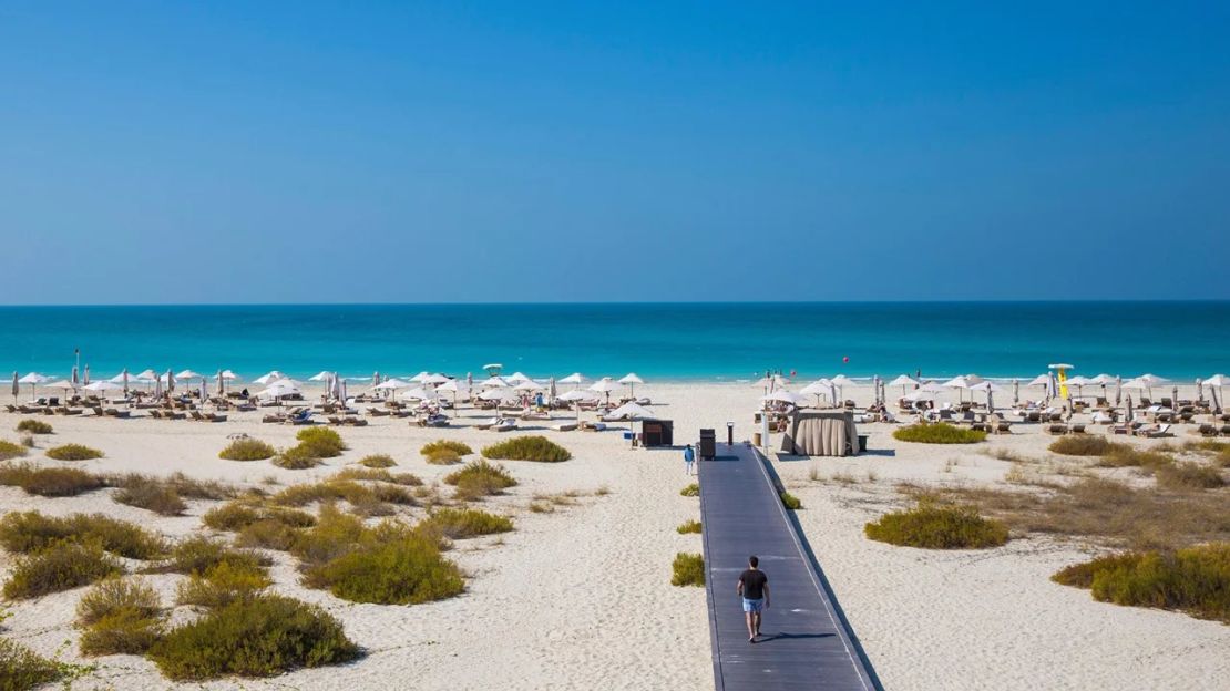 Raras tortugas carey anidan en las dunas de la playa de Saadiyat. Crédito: Jon Arnold Images Ltd/Alamy Stock Photo