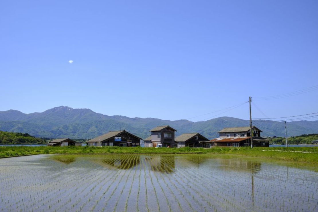 Esta fotografía tomada el 7 de mayo de 2022 en la isla de Sado, prefectura de Niigata, muestra campos de arroz.
