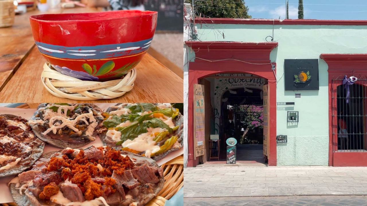 CNNE 1384166 - ¿donde comer en oaxaca, mexico? conoce el mercado la cosecha