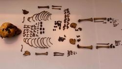 CNNE 1384221 - desenterraron un bulto funerario de 600 anos de antiguedad en peru