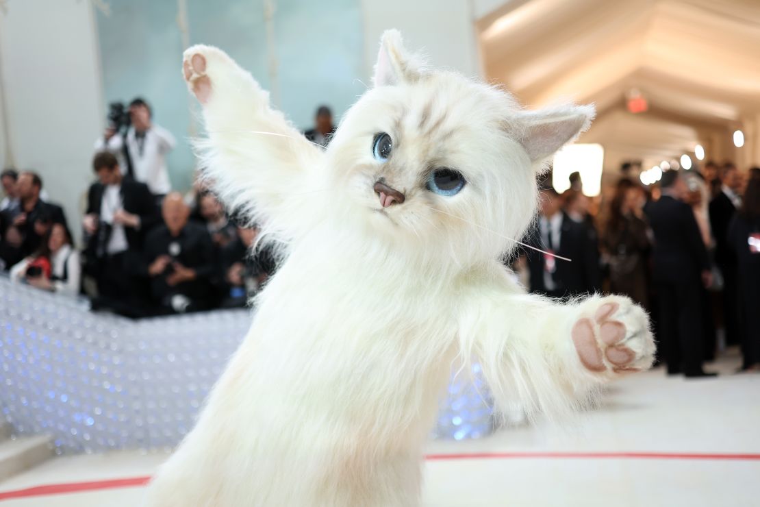 CNNE 1384992 - the 2023 met gala celebrating "karl lagerfeld- a line of beauty" - arrivals