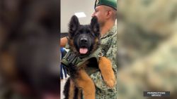 CNNE 1385773 - desde turquia envian un nuevo rescatista canino para mexico