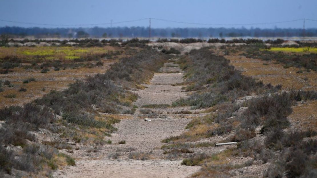 Esta fotografía tomada el 11 de mayo de 2023 muestra una acequia de riego seca en el Parque Nacional de Doñana en Aznalcaraz, al sur de España.