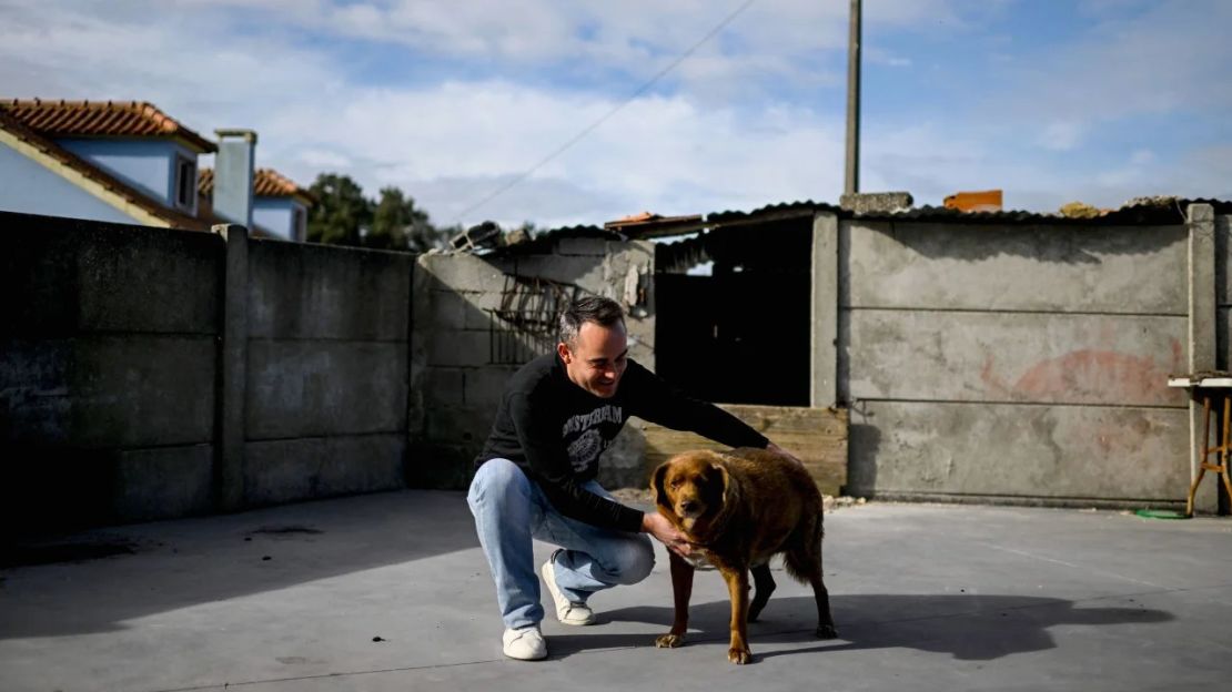 Leonel Costa acaricia a Bobi en su casa del pueblo de Conqueiros, cerca de Leiria. Crédito: Patricia de Melo Moreira/AFP/Getty Images