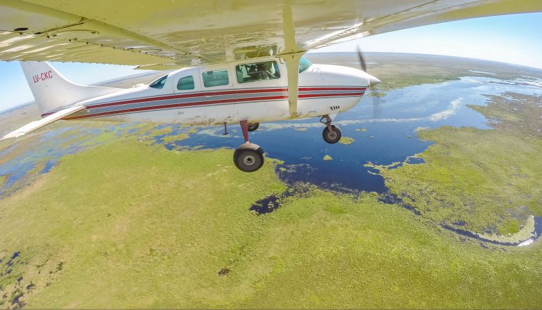 Traslado en avioneta de Malú, una hembra de jaguar de 7 años de Uruguay. Foto: Matías Rebak/Rewilding Argentina