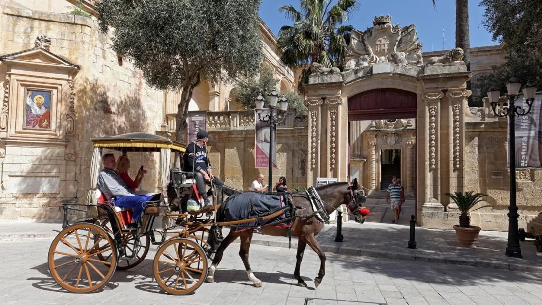 El museo de historia natural de Mdina se encuentra en el Palazzo Vilhena, del siglo XVIII. Crédito: imageBROKER/Alamy Stock Photo