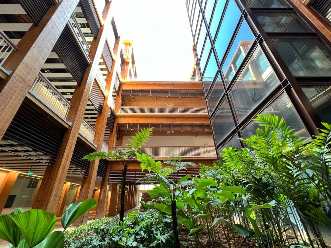 En todo el diseño se aprecian amplias terrazas y atrios iluminados por el sol. Crédito: NTU Singapur