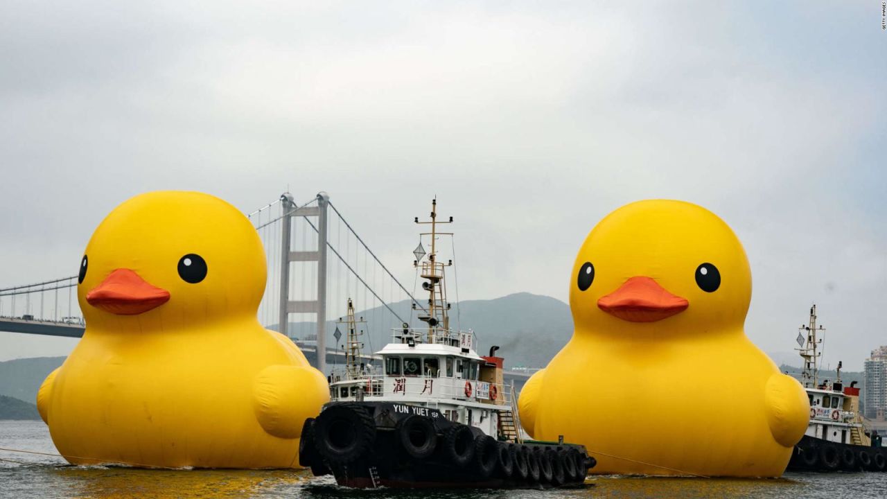 CNNE 1404067 - mira los patos de goma gigantes que tomaran el puerto de hong kong