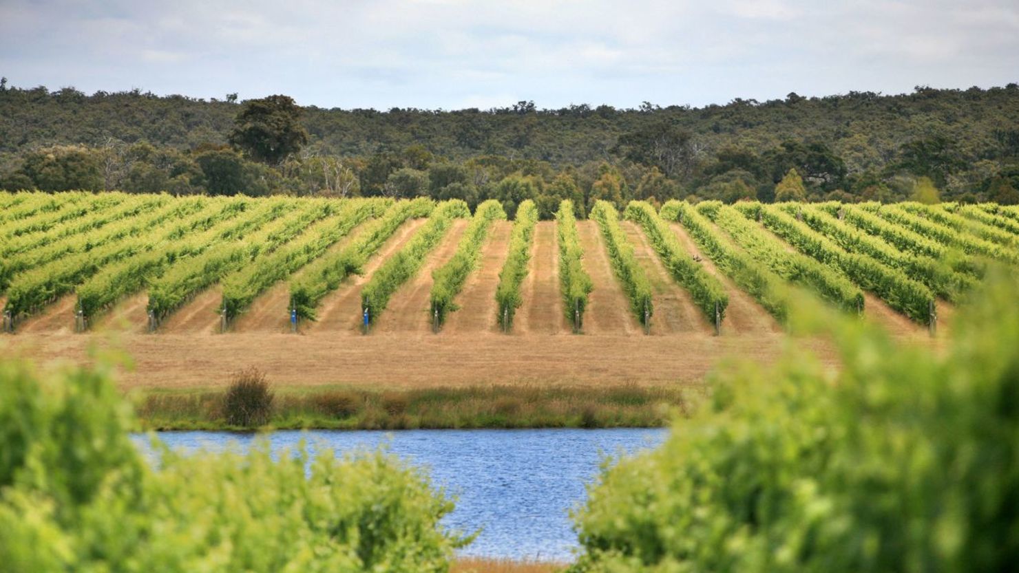 La región vinícola de Margaret River, en el suroeste de Australia Occidental, atrae a cerca de medio millón de visitantes al año.
Marianna Massey/Corbis/Getty Images