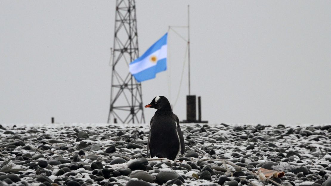 Vista de un pingüino en una base militar argentina en la Antártida.