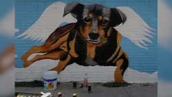 CNNE 1405180 - el mural que rinde homenaje a perrito que murio en aceite hirviendo