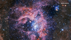 CNNE 1405845 - la imagen de los campos magneticos en la nebulosa de la tarantula