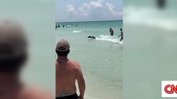 CNNE 1406478 - un oso en la playa- mira como este animal salio del mar en florida