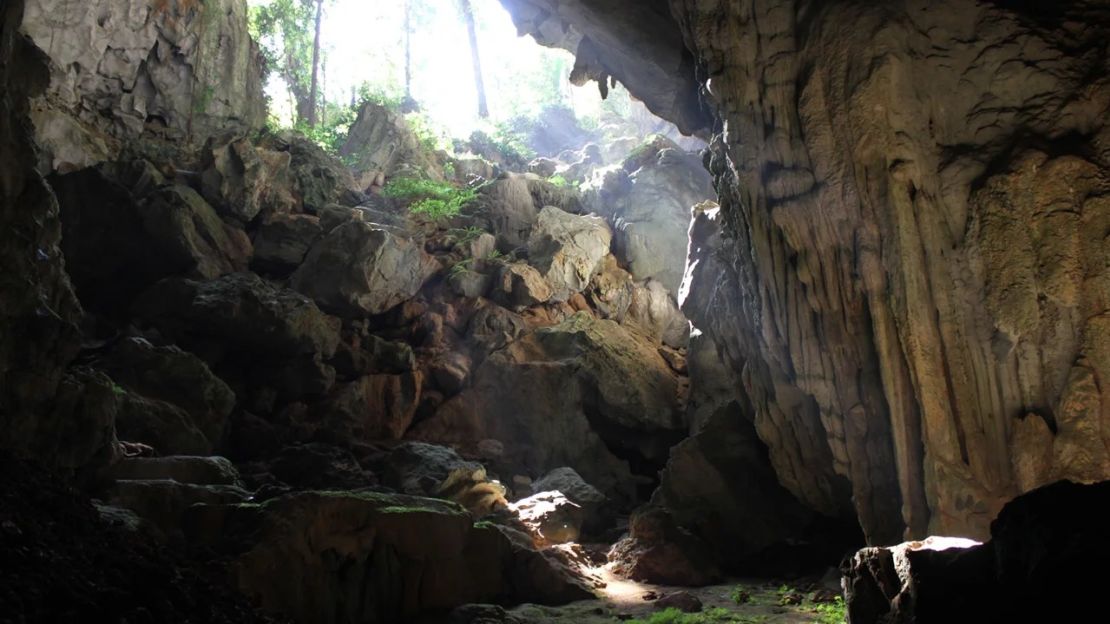 Los arqueólogos empezaron a excavar en la cueva hace más de una década. Crédito: Kira Westaway