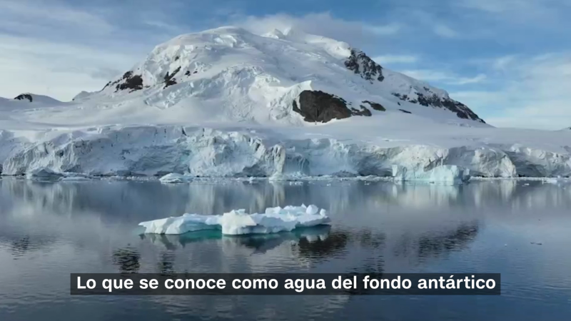 Suministro de agua del fondo antártico disminuye rápidamente y de manera alarmante | cnn