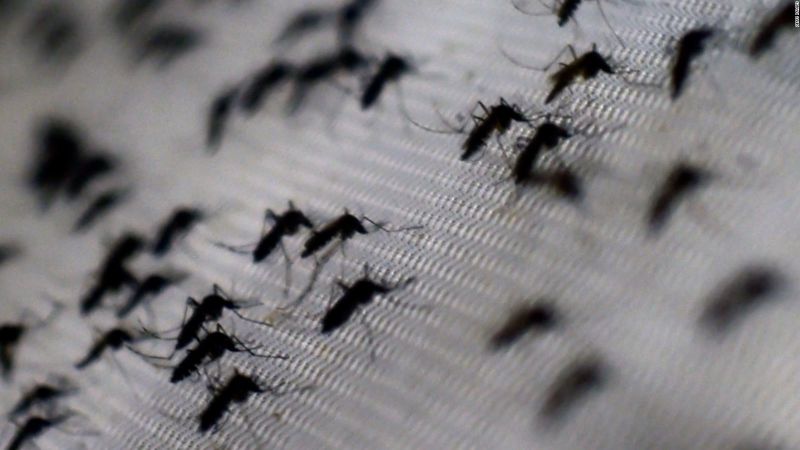 Perú reporta 201 muertes por dengue | cnn