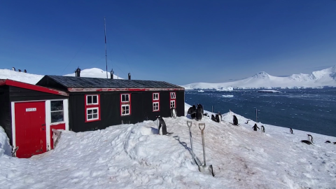 CNNE 1408874 - port lockroy- conoce la mas remota y helada oficina de correo