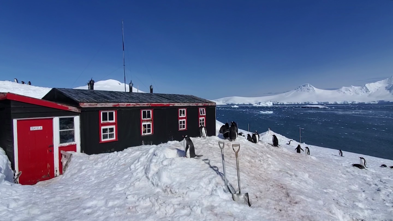 CNNE 1408874 - port lockroy- conoce la mas remota y helada oficina de correo