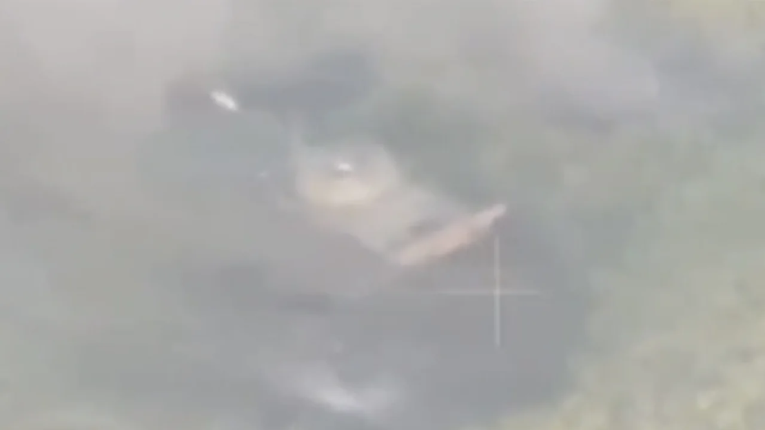 Un video de dron muestra el tanque estático tras chocar aparentemente contra una mina cerca de las líneas ucranianas.