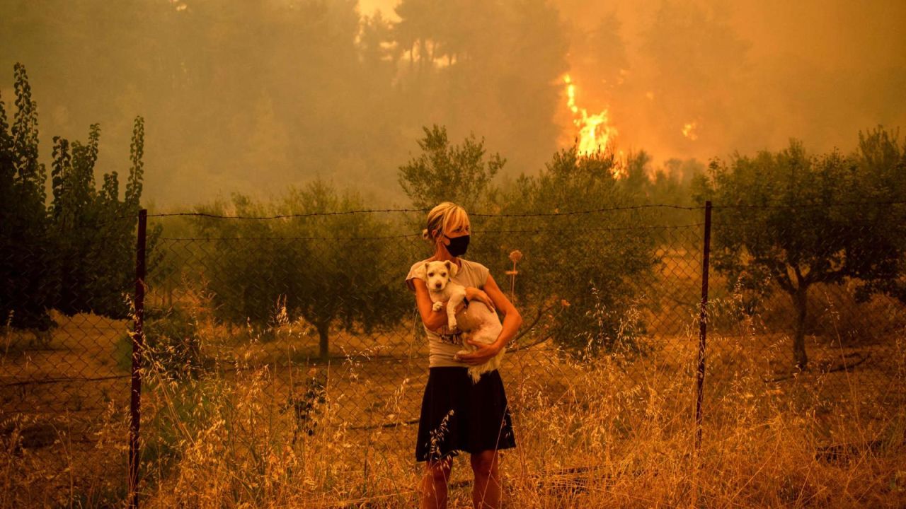 CNNE 1410355 - ¿por que estamos a tiempo de revertir elcambio climatico?