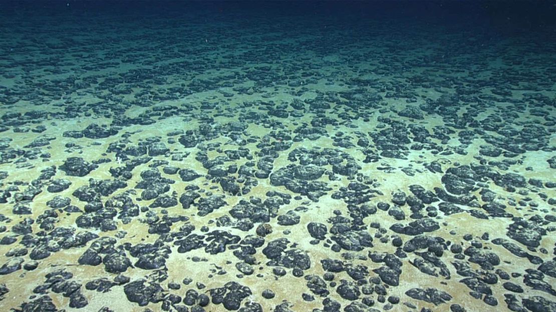 La mayor parte del fondo marino explorado durante la Inmersión 07 de la Exploración de las Profundidades del Sureste de Estados Unidos 2019, realizada por la NOAA y sus socios, estaba cubierto de estos nódulos de manganeso, objeto de la prueba piloto de Deep Sea Ventures hace casi cinco décadas. Cortesía de la Oficina de Exploración Oceánica/Investigación de la NOAA, 2019 Southeastern U.S. Deep-sea Exploration