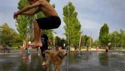 CNNE 1411248 - el cuidado de las mascotas durante la ola de calor