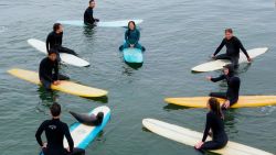 CNNE 1412107 - la foca que sube a tablas de surf en california