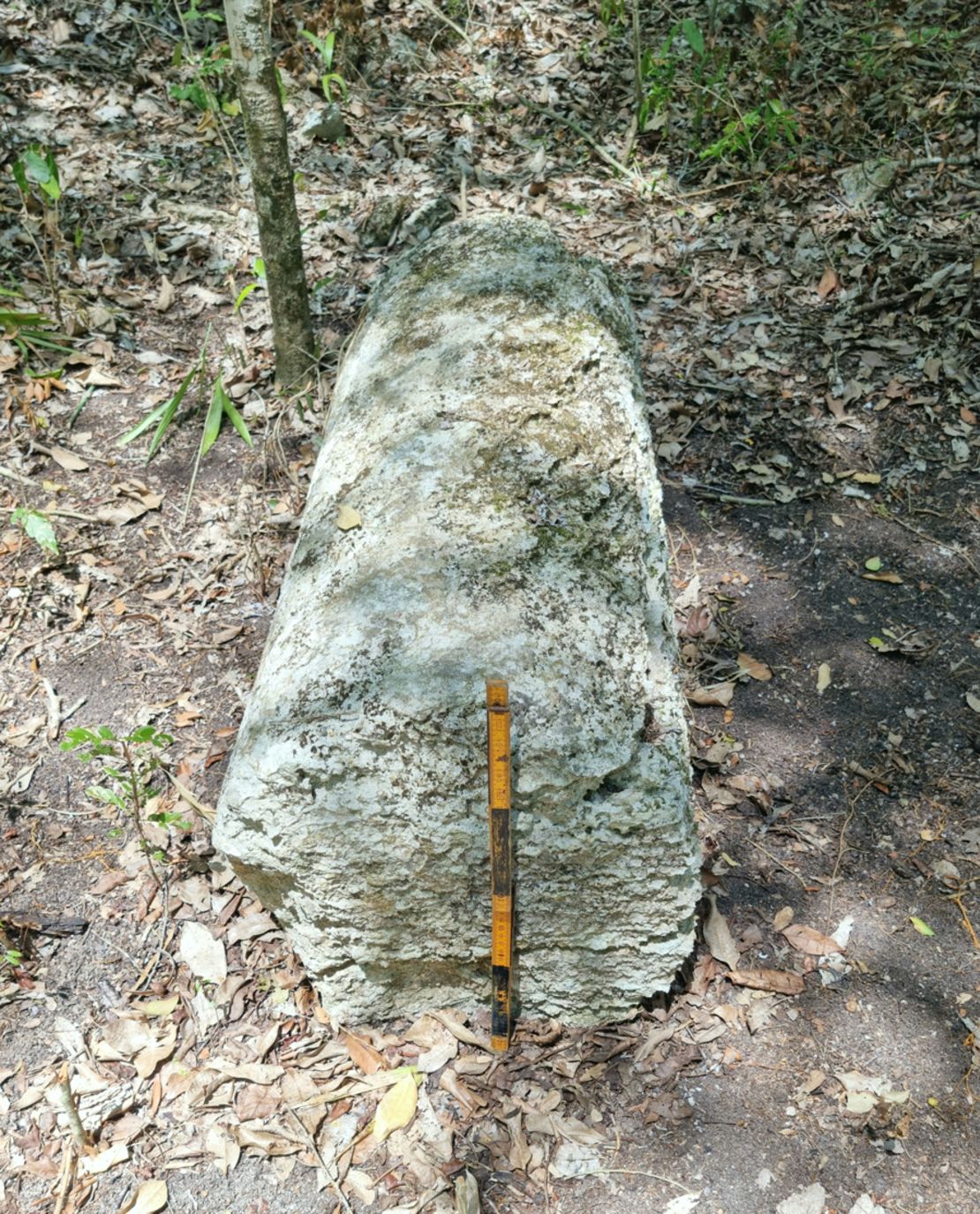 Una de las columnas encontradas en Ocomtún.